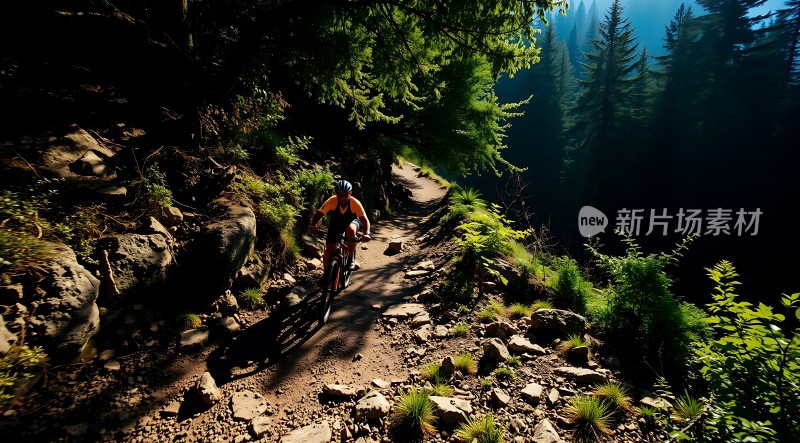 骑行者穿越森林小径