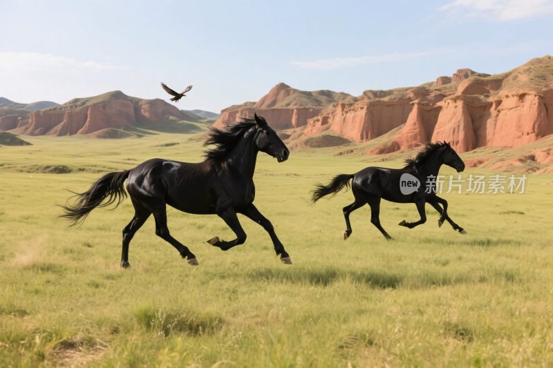 草原上的奔跑骏马
