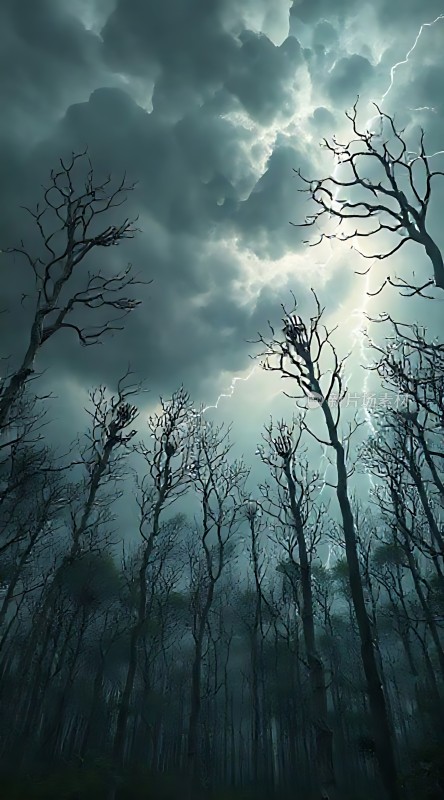 黑暗森林闪电风暴