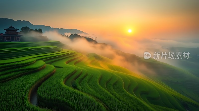 梯田晨曦阳光洒满大地