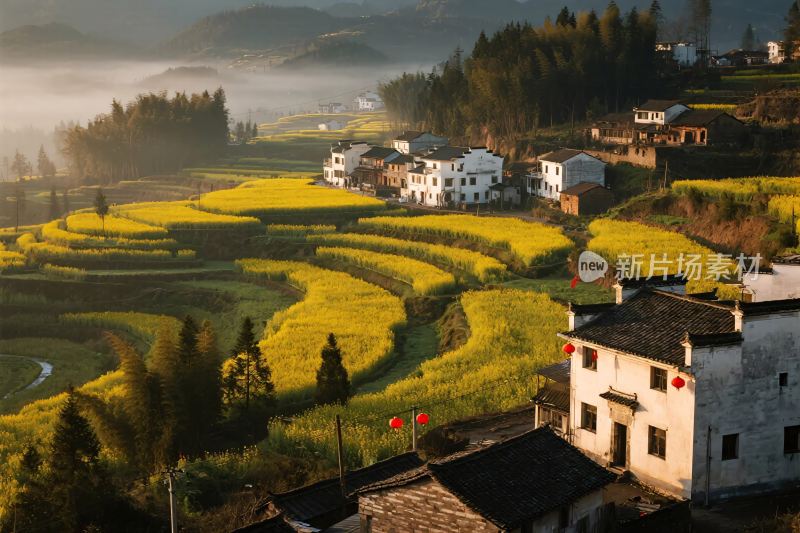 山村春日田园风光美景