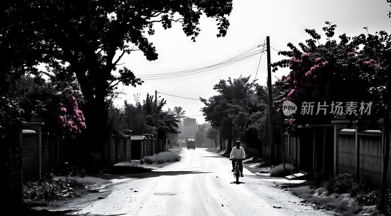 新片场素材之路