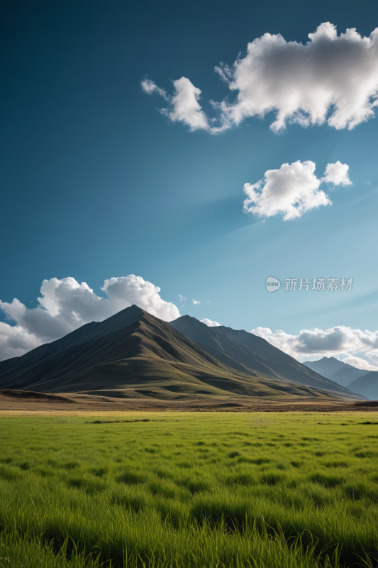 蓝天白天草原草地风景自然风光图片