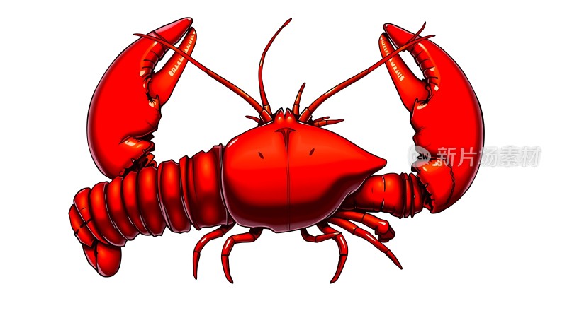 红色龙虾
