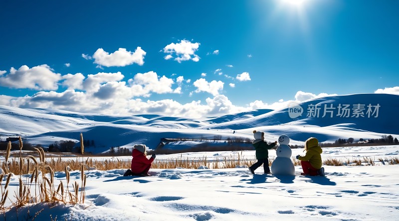 雪地里的欢乐时光
