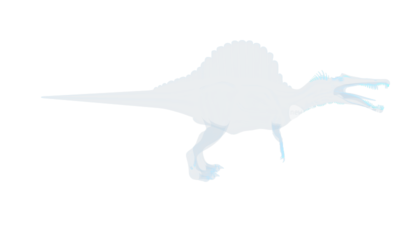 棘龙 恐龙远古生物Spinosaurus