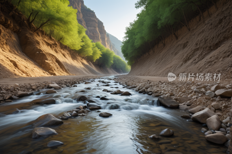 一条小溪流经峡谷有岩石和树木风光风景图片