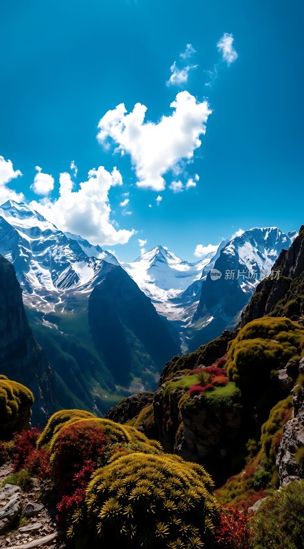 雪山白云绿植映衬下的壮丽自然风光