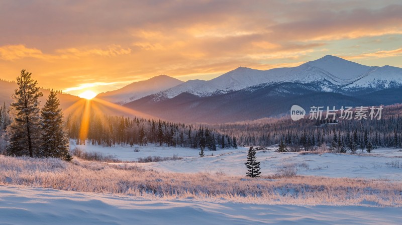 冬天夕阳雪景