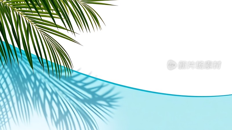 阳光下的热带风情