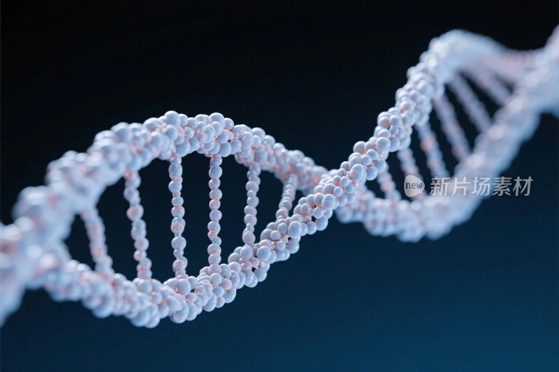 双螺旋分子结构