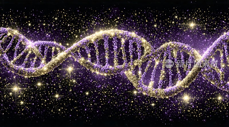 紫色DNA螺旋结构