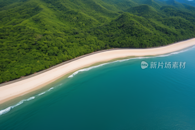 海滩和白色沙滩森林区的鸟瞰图风景风光图片