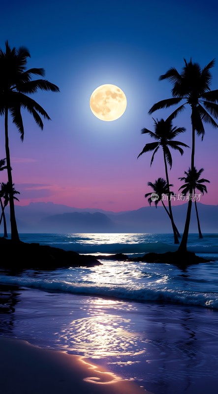 椰林月影海天一色