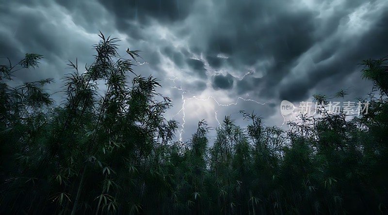 雷雨夜下的竹林闪电