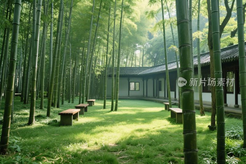 竹林古院风景