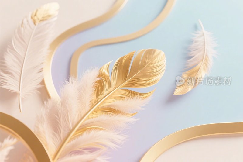 金色羽毛与曲线装饰画面