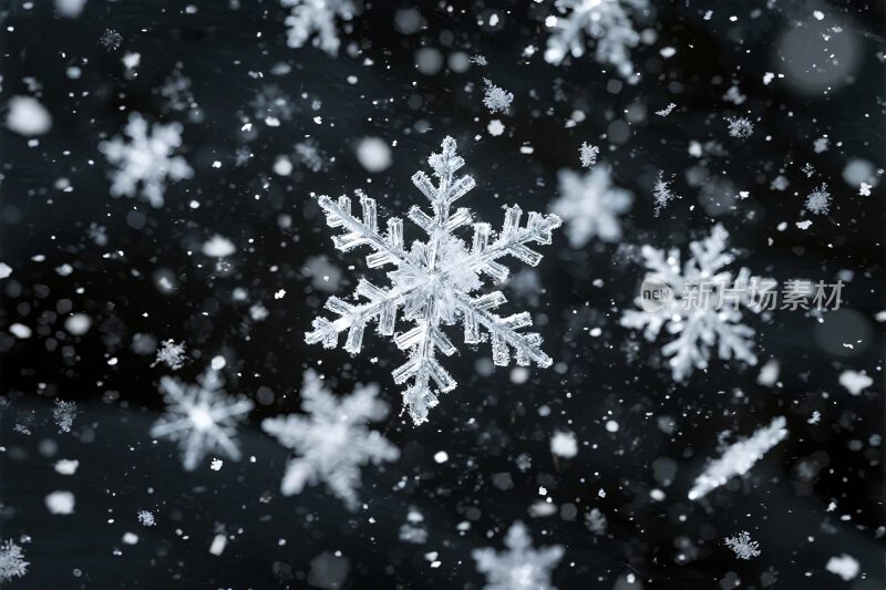 雪花飘落艺术画