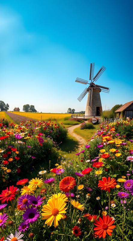 风车花海田园风光