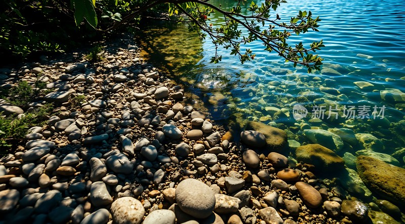 碧波轻抚石滩绿影婆娑