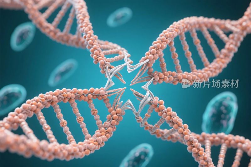 双螺旋分子结构