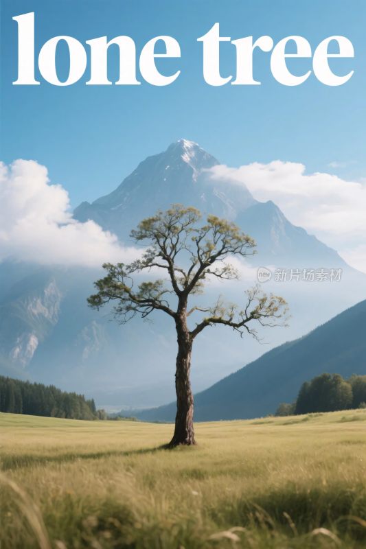 孤独之树风景图