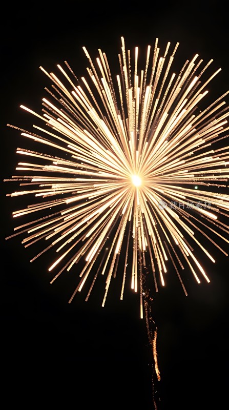 夜空烟花绽放光芒四射璀璨夺目