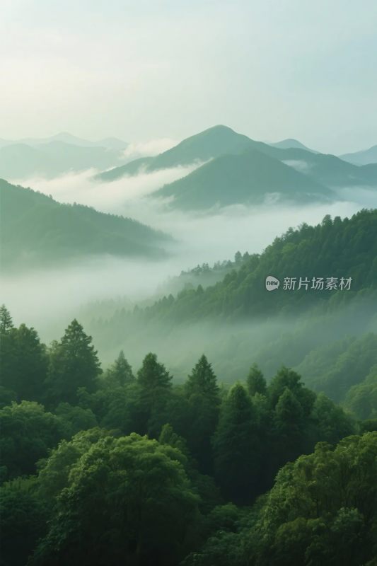 山林雾气风景图