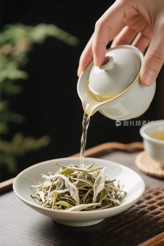 茶艺倒茶场景