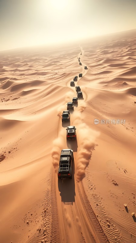 沙漠车队穿越金色沙海的冒险之旅