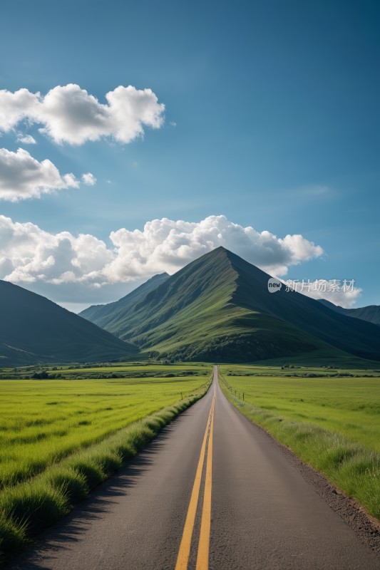 一条黄线穿过绿地的道路被夷为平地