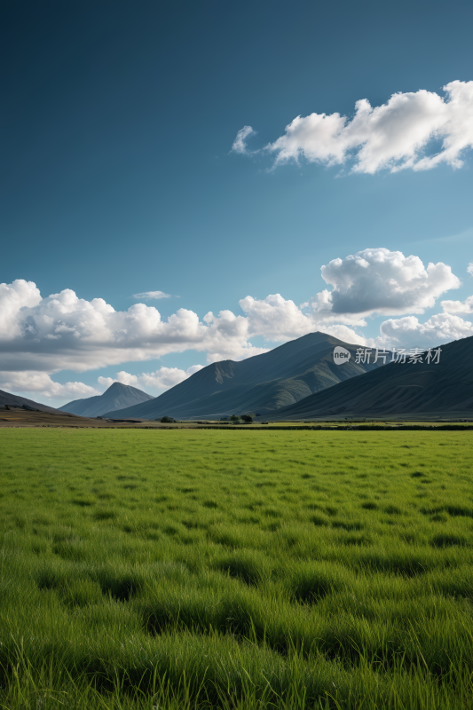 一片草地高高山清风景图片