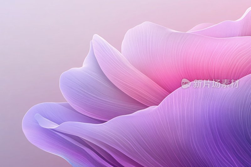 梦幻渐变色彩波浪插画