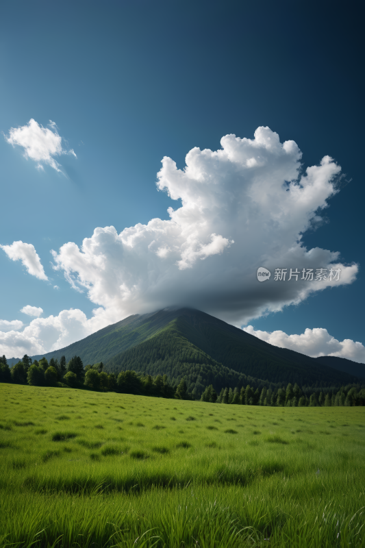 一大片绿地高清风景摄影图片