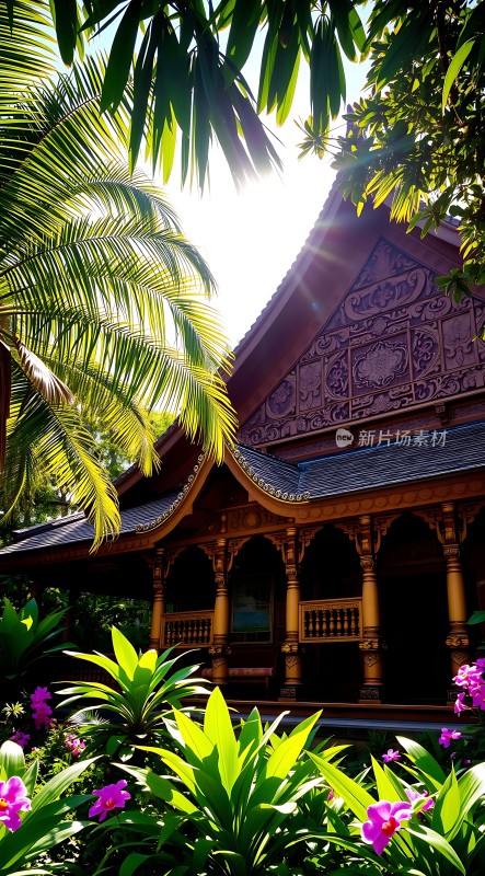 阳光下的热带风情建筑