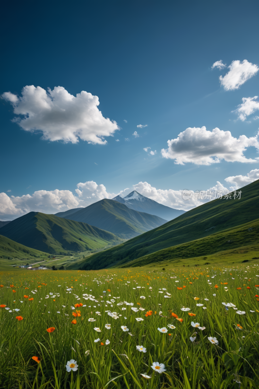 一片花田高清风景摄影图片