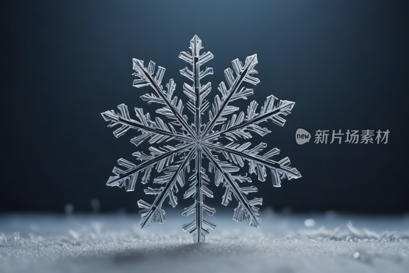 雪覆盖地面上的雪花特写高清图片