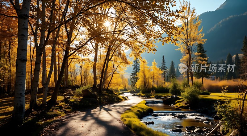 阳光小径秋色浓