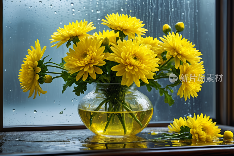 雨中窗台上的花瓶里开着黄色的花高清图片