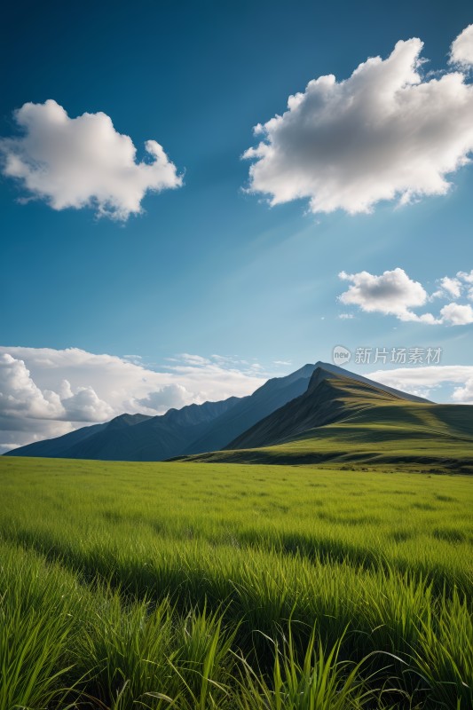 草地远处有山蓝天高清图片