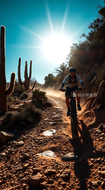 阳光下的骑行者穿越沙漠小径