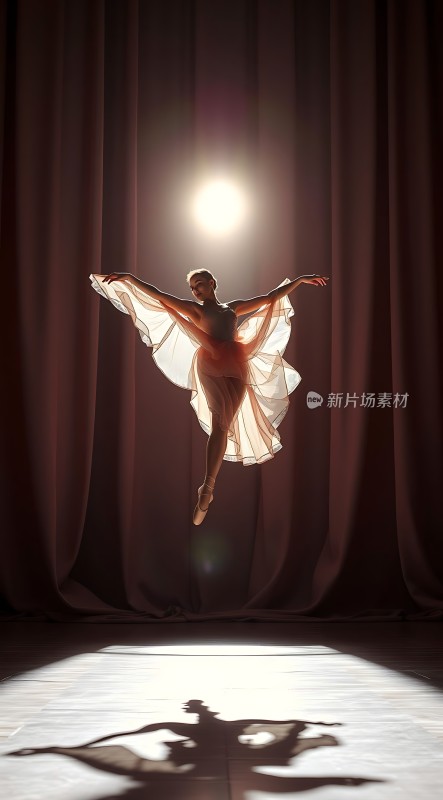 舞台上的优雅舞者