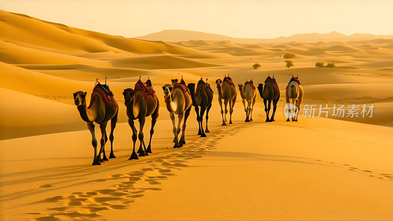 驼队穿越金色沙漠