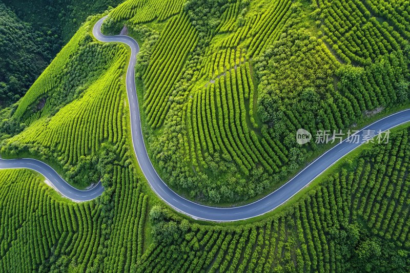 山间蜿蜒公路俯瞰美景