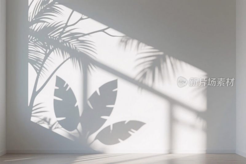 光影植物插画设计