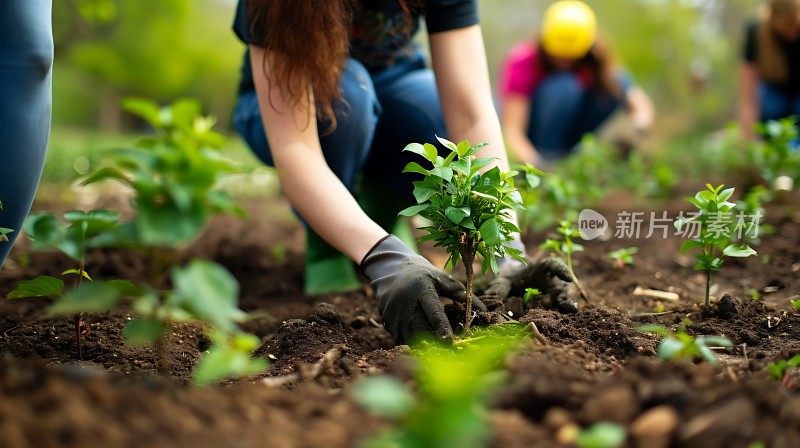 种树造林绿意盎然