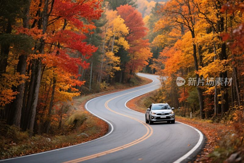 秋日公路上行驶的汽车