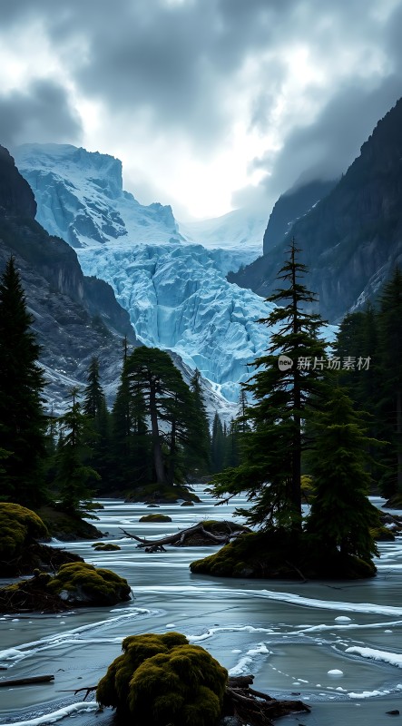 冰封山谷雪原松林