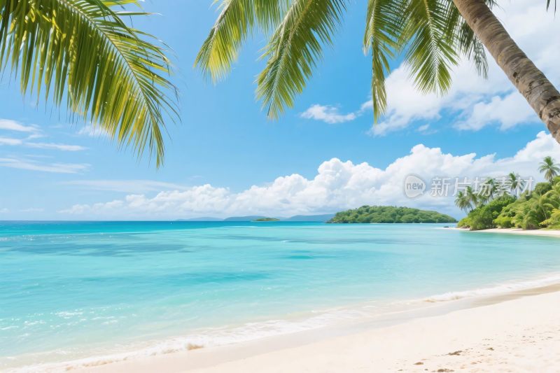 热带海滩风景插画