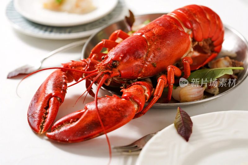 红色龙虾美食展示